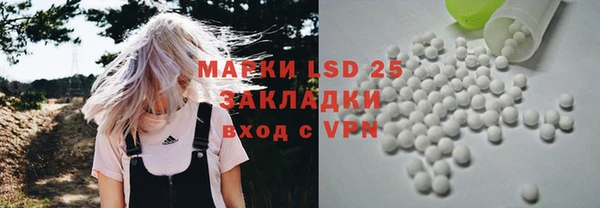 PSILOCYBIN Белокуриха