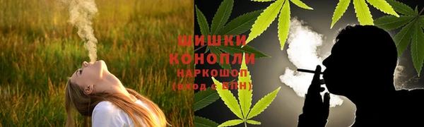 PSILOCYBIN Белокуриха