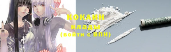 PSILOCYBIN Белокуриха