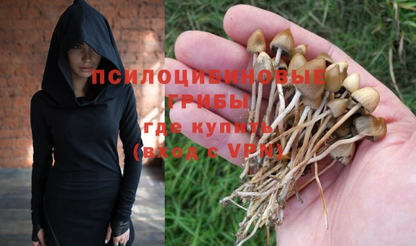 спиды Белоозёрский