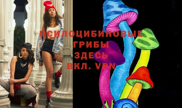 PSILOCYBIN Белокуриха